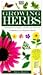 Growing Herbs