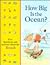 How Big Is the Ocean? by Time-Life Books