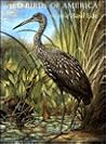 Wild Birds of America: The Art of Basil Ede Wild Birds of America: The Art of Basil Ede