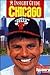 Insight Guide: Chicago