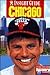 Insight Guide: Chicago
