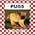 Pugs