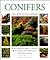 Conifers (New Plant Library)