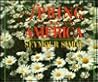 Spring Across America (Seasons Across America)