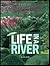 Life in a River