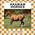 Arabian Horses