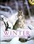 Winter by Ron Hirschi