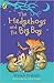 Hedgehog and the Big Bag (Ready, Steady, Read!)