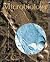 Microbiology (4th ed)