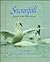 Swanfall: Journey of the Tundra Swan