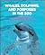 Whales,Dolphins,Porpoises (The New Zoo)