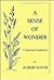 Sense of Wonder: A Spiritual Guidebook