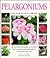 Pelargoniums (New Plant Library)