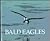 Bald Eagles : Naturebooks Series