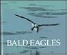 Bald Eagles : Naturebooks Series Bald Eagles : Naturebooks Series