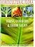 Horticultural Flora of Sout...