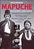 Diccionario Mapuche-Castellano, Castellano-Mapuche / [Textos, Maria Esposito; Editor, Oscar Armayor] (Spanish Edition)