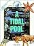 A Tidal Pool (Small Worlds)