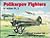 Polikarpov Fighters in action Pt. 2 - Aircraft No. 162