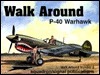 P-40 Warhawk Walk Around