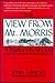 The View from Mt. Morris: A Harlem Boyhood