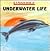 A Picture Book of Underwater Life