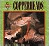 Copperheads (Fangs!)