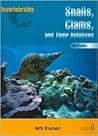 Mollusks: Snails, Clams, and Their Relatives (Invertebrates)