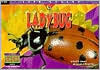 Lady Bug