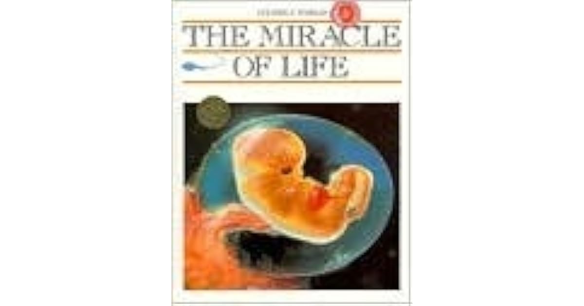 The Miracle Of Life By Merce Parramon