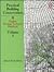 Practical Building Conservation Wood, Glass and Resins: English Heritage Technical Handbook (Practical Building Conservation)