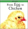 From Egg to Chicken (Lifecycles)