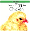 From Egg to Chicken (Lifecycles)