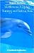 Dolphin Discovery: Bottlenose Dolphin Training and Interaction (The Seaworld Education Ser)