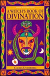 A Witch's Book of Divination (Modern Witchcraft Series)