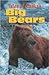 Tales of Alaska's Big Bears
