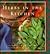 Herbs in the Kitchen: A Celebration of Flavor