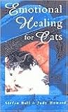 Emotional Healing for Cats