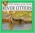 River Otters by Lynn M. Stone