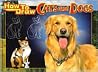 How to Draw Cats and Dogs How to Draw Cats and Dogs