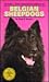 Belgian Sheepdogs