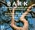Bark: The Formation, Characteristics, and Uses of Bark Around the World