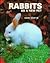 Rabbits As a New Pet by Barry Martin