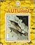 Autumn (Exploring the Science of Nature)