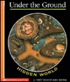 Hidden World: Under the Ground (A First Discovery Book)