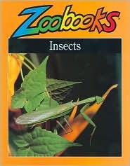 Insects 1 (Zoobooks Series)
