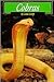 Cobras (Animals & the Environment)