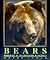 Bears by Wayne Lynch