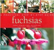 Fuchsias: A Practical Step-By-Step Guide (Hardcover)