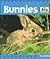 Bunnies (Baby Animals)